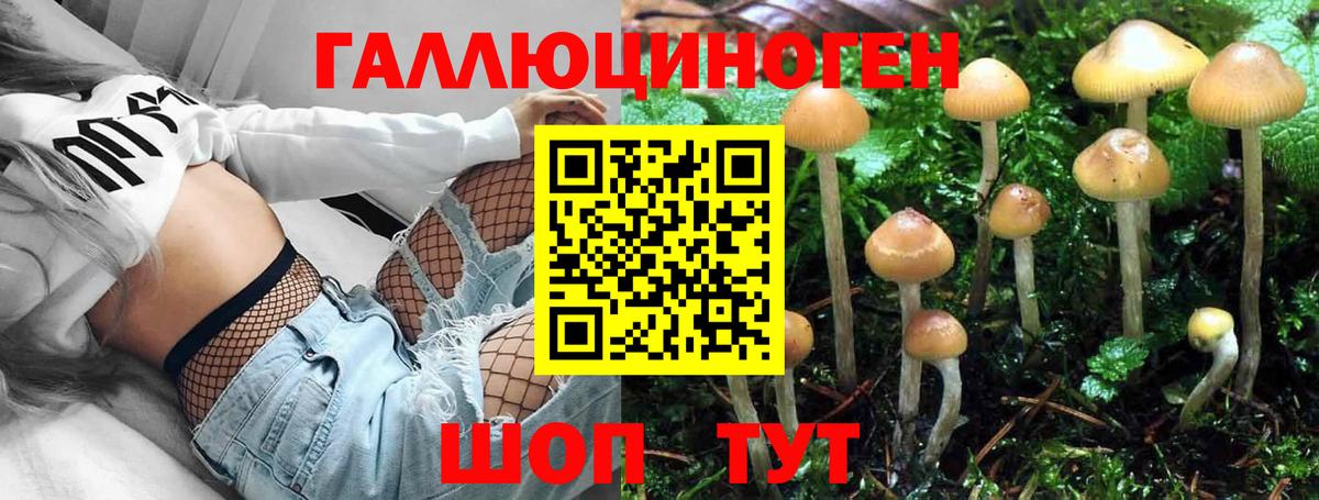 Белгород  Галлюциногенные грибы Psilocybe  Вход с VPN  Галлюциногенные грибы ЛСД 